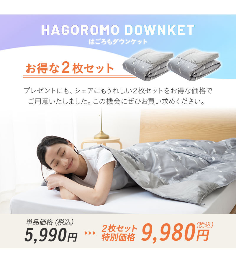 はごろもダウンケット 2枚セット シングル