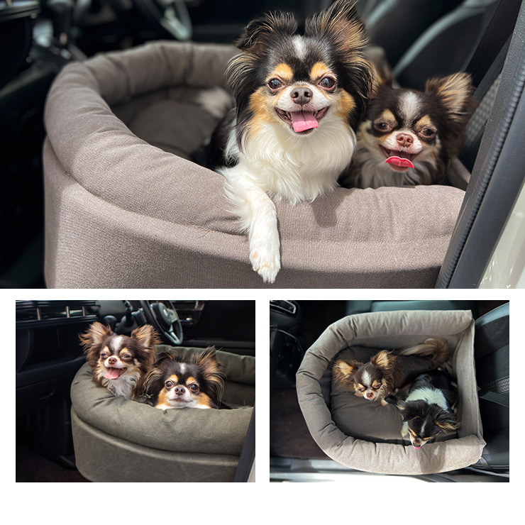 ドライブベッド 2頭対応 ペットソファ カーベッド ペットシート 小型犬用 アウトドア
