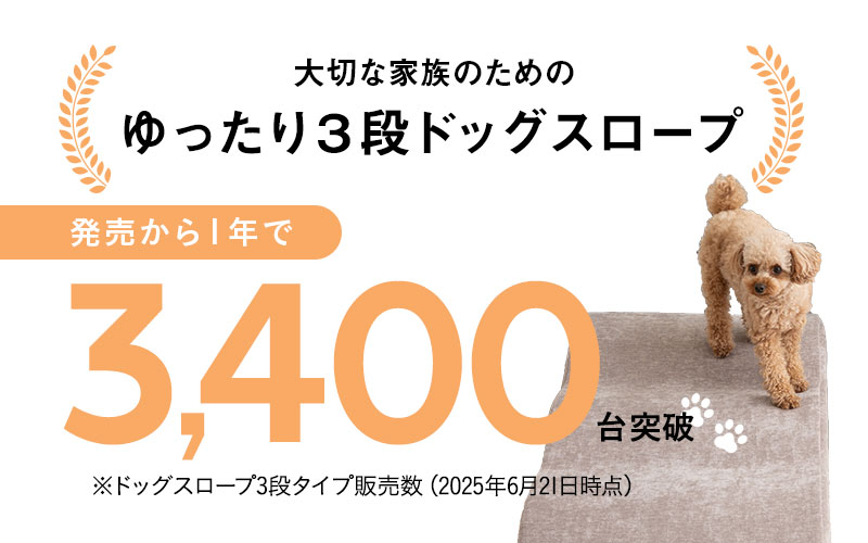 3段ドッグスロープ累計販売数