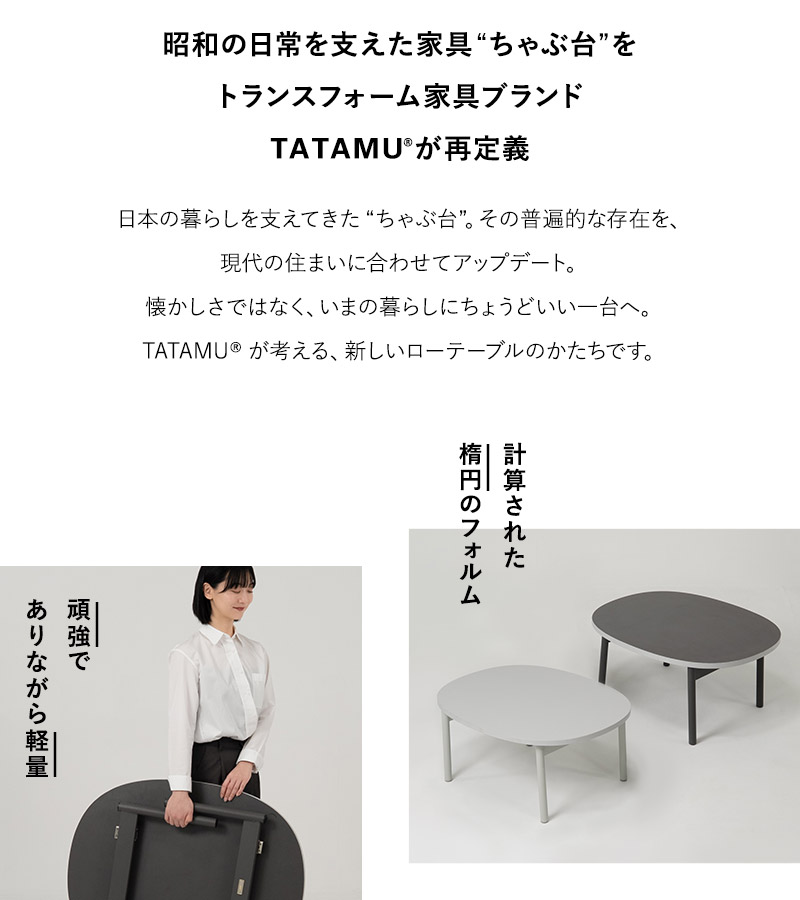 EMOOR（エムール） 折りたたみ テーブル 幅85cm 楕円形 完成品 薄型