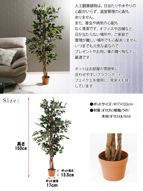 正規登録店 人工 観葉植物/造花 〔クロチク〕 約50×50×100cm