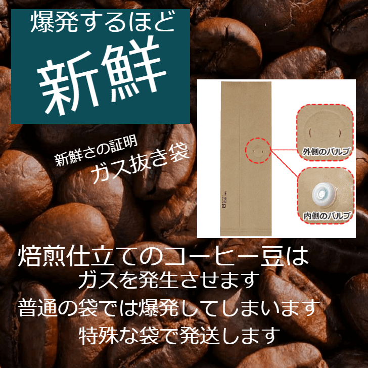 オーダー焙煎 200g(生豆時) ミャンマー G1星山スペシャルティ オーダー焙煎 スペシャリティコーヒー シングルオリジン 送料無料｜atagocoffee｜11