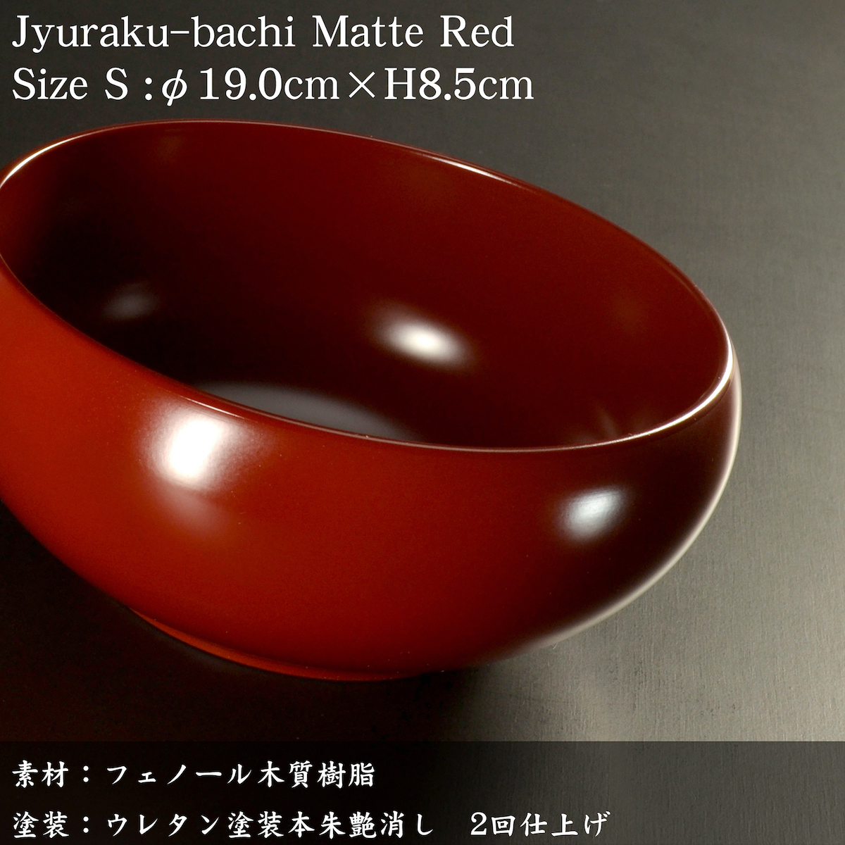 和食器 大鉢 中鉢 ボウル サラダボウル 鉢 丼 おしゃれ 赤 朱 モダン