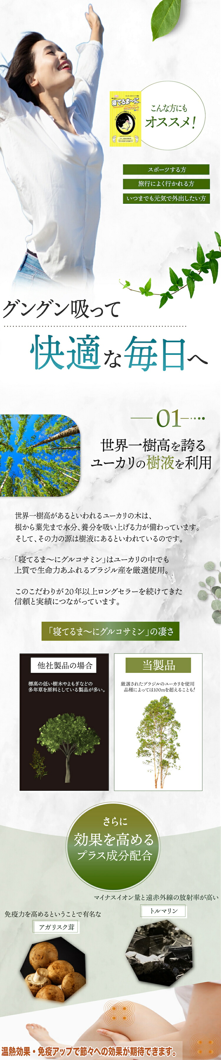 足裏シート 樹液シート 寝てるま〜に グルコサミンシート 50枚入