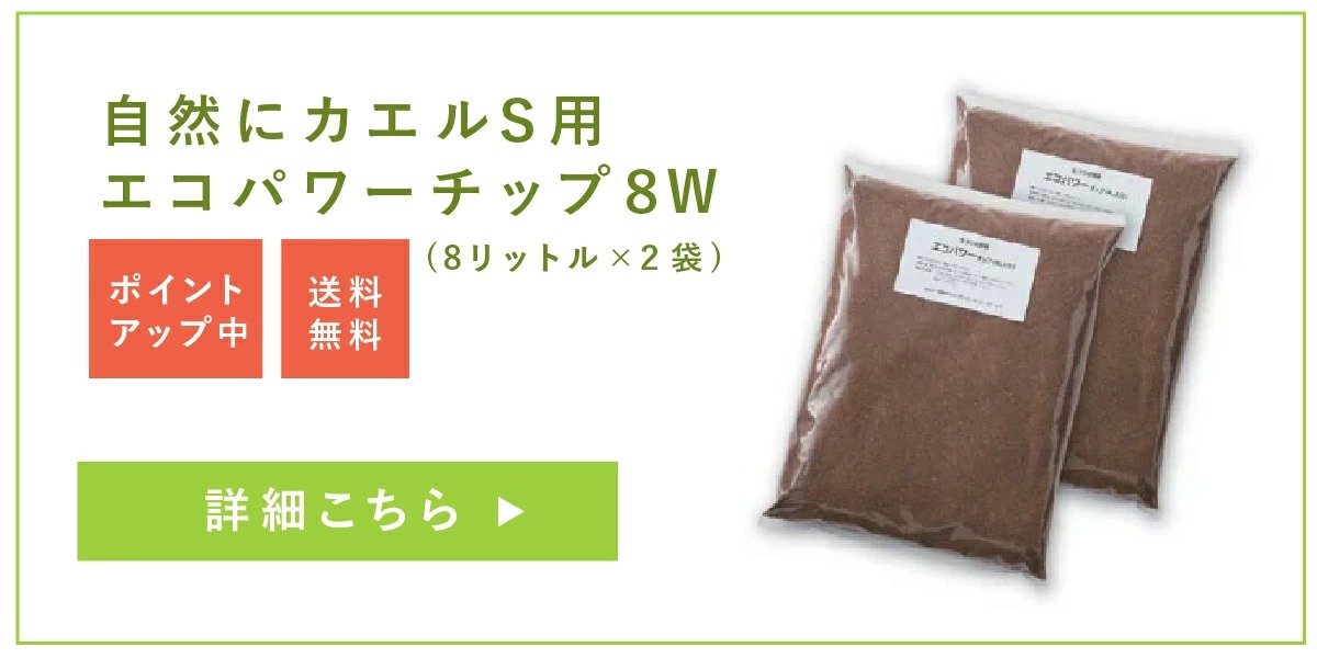 自然 エコクリーン 自然にカエル 基本セット 生ゴミ 生ごみ 処理 家庭