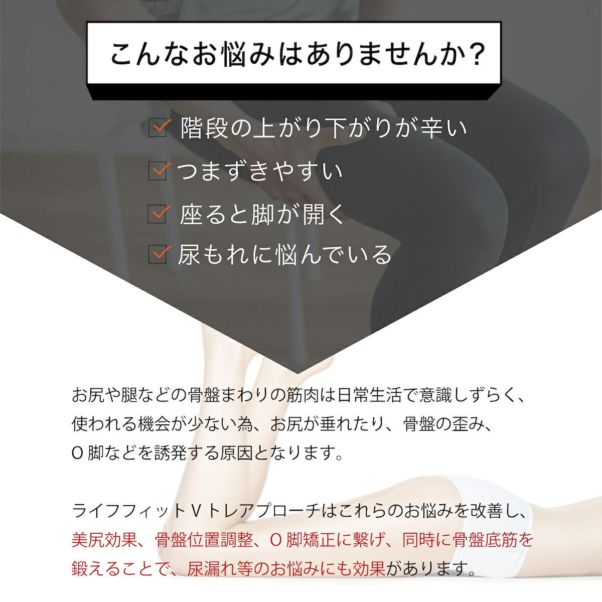 オマケ付き！ LIFEFIT ライフフィット Vトレアプローチ Fit020