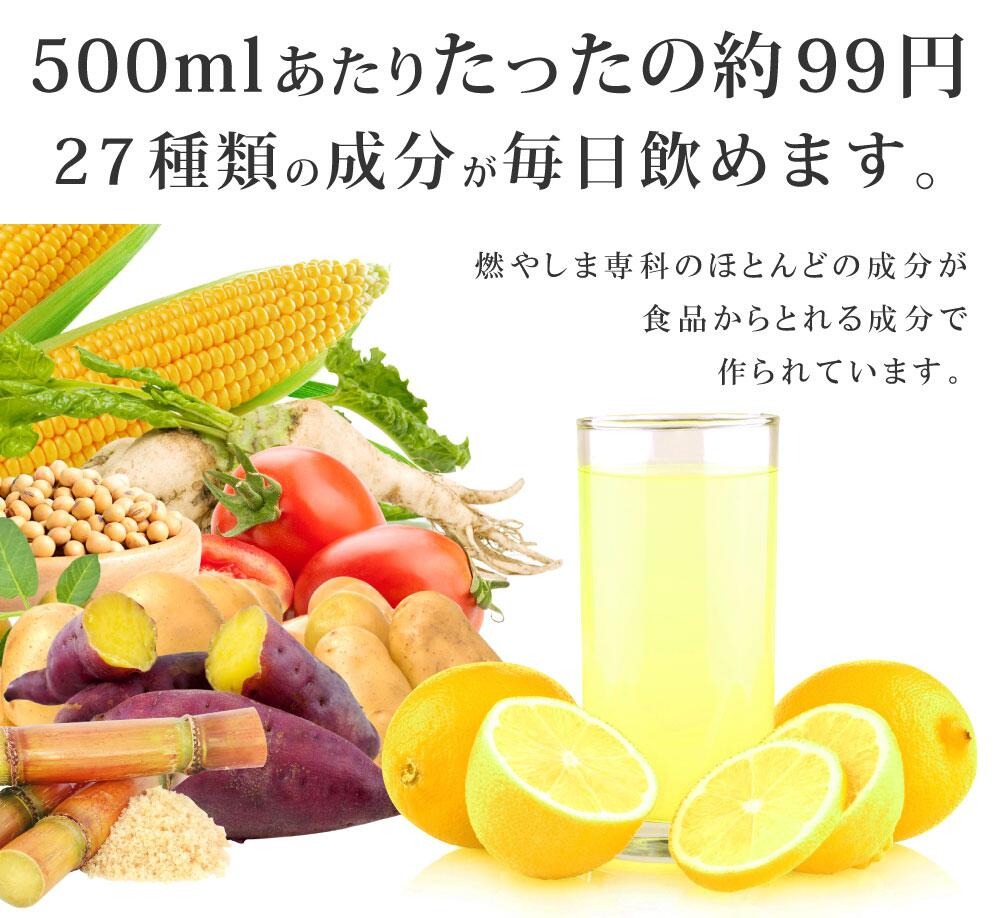 燃やしま専科 500g レモン風味 スポーツドリンク 粉末 パウダー 粉