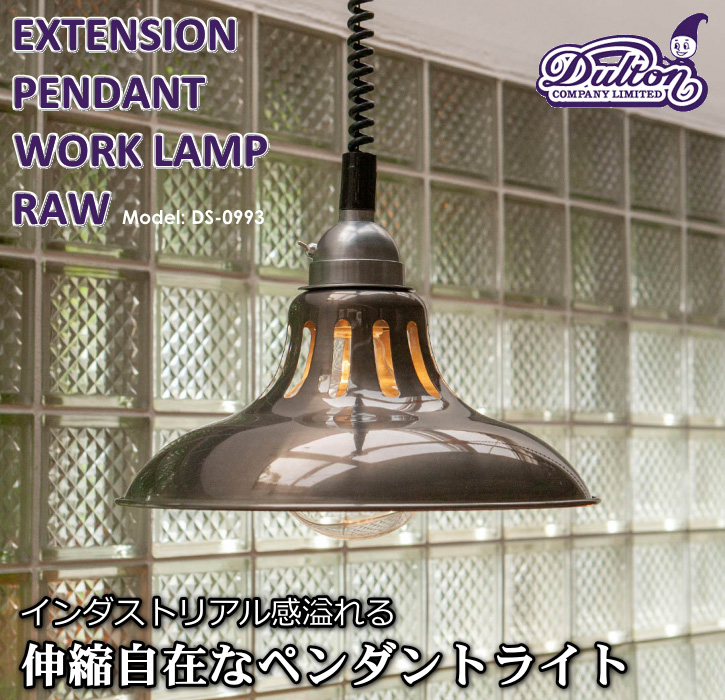 ds-0993rw-cp01.jpg