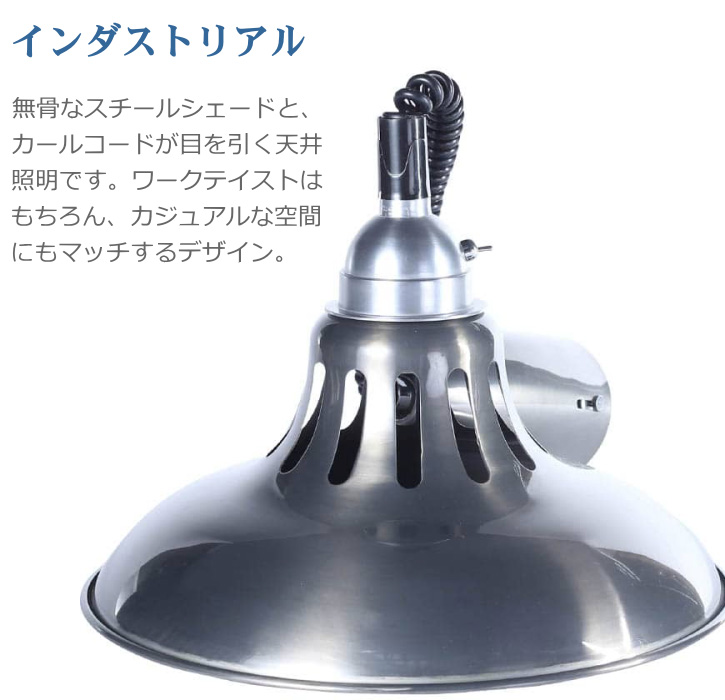 DULTON（ダルトン） 天井照明 ペンダントライト エクステンション