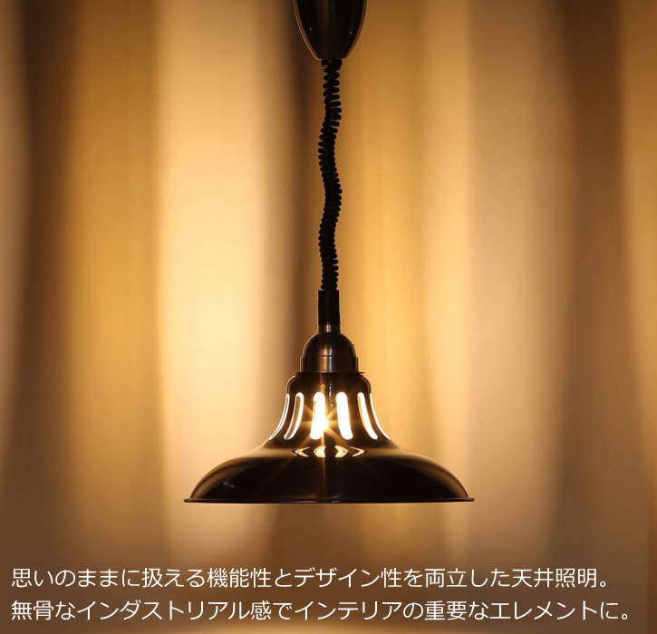 DULTON（ダルトン） 天井照明 ペンダントライト エクステンション