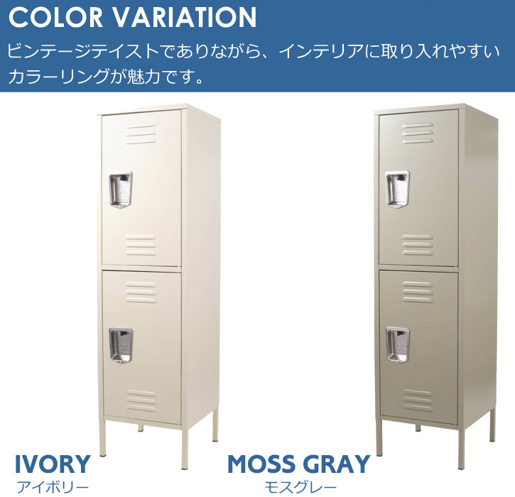 DULTON（ダルトン） ロッカー 収納庫 2枚扉 スチール製 スチール