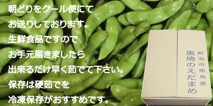 朝採り 枝豆くろさき茶豆 Ａ級品 新潟黒埼産 送料無料 GIマーク