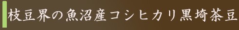 枝豆トップ