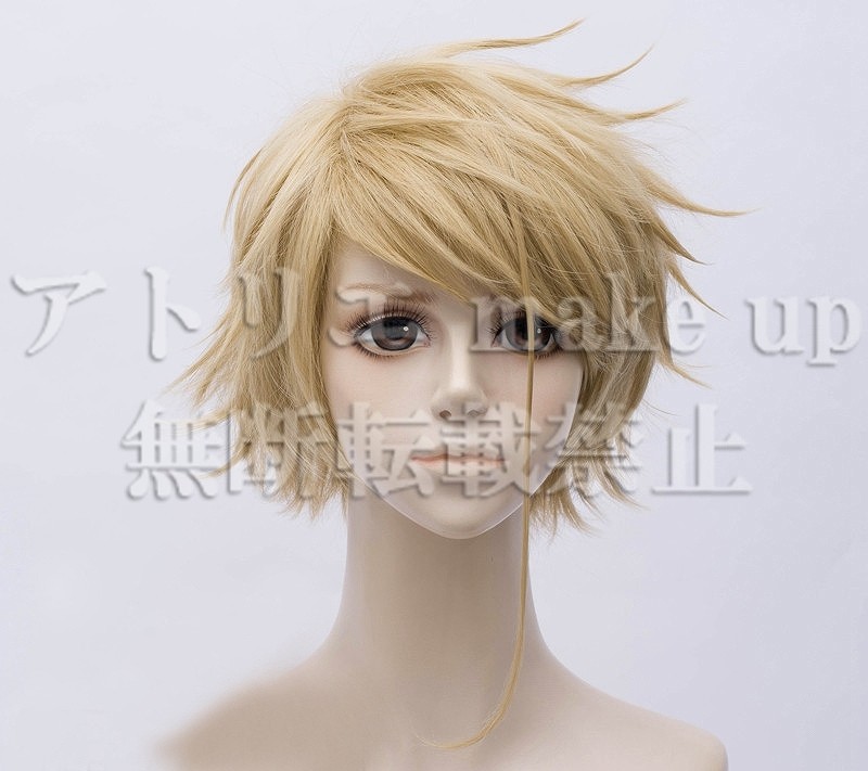 ヴァイオレット エヴァーガーデン ウィッグ】ベネディクト ブルー コスプレ用ウィッグ アニメ マンガ ゲーム コスプレ用品 cosplay :csw-0558:アトリエ メイクアップ 通販 メイショウドトウ ウイッグ尻尾セット ハロウイン アニメ マンガ ゲーム コスプレ用品 洗髪可 cosplay wig