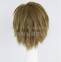 Free! ウィッグ 衣装】橘 真琴 ウイッグ コスプレ cosplay