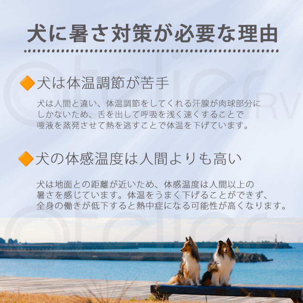 クールマルチシェード Lサイズ クリップ付き 日よけ 軽量