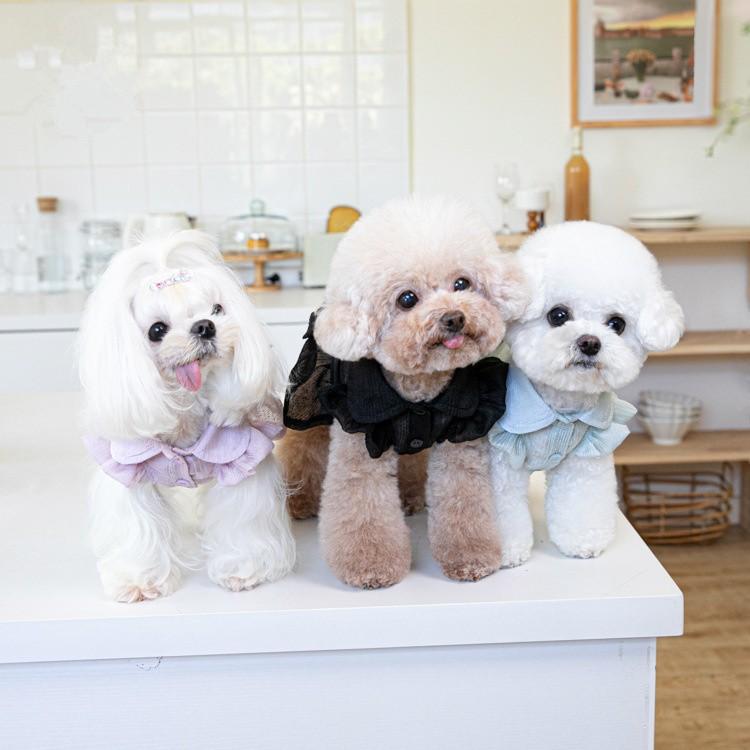 ペット服 シャネルジャケット風デザインワンピース ドッグウェア 犬服