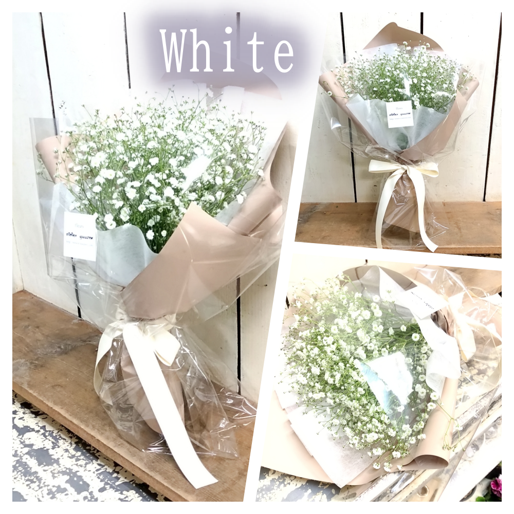 かすみ草だけの花束M誕生日・卒業・入学・ホワイトデー感謝のお花