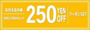 250円OFFクーポン