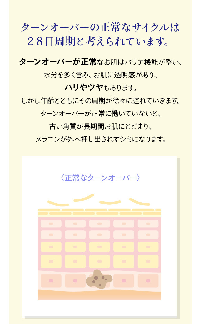 ハイコンセントレート プレミアム EGF セラム＆クリーム