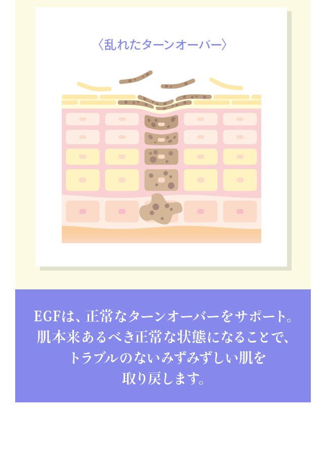 ハイコンセントレート プレミアム EGF セラム＆クリーム