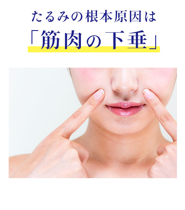 ハイコンセントレート プレミアム DMAE 美容液＆クリーム