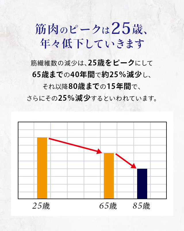 ハイコンセントレート プレミアム DMAE クリーム 50g