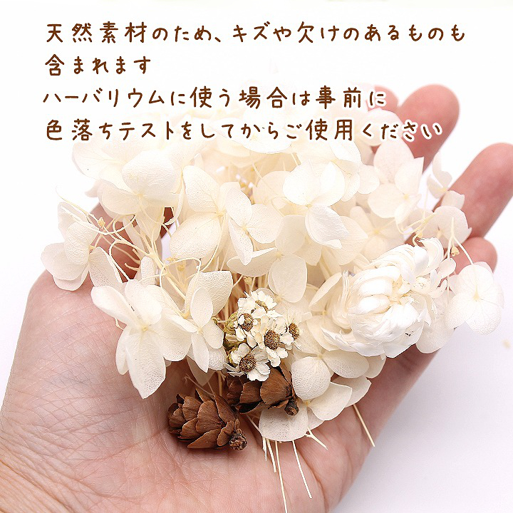 白いお花と木の実のセット 1ケース ハーバリウムやアロマワックスバー 花材 プリザーブドフラワー 紫陽花 アジサイ : ath-2248 :  あとりえほのか - 通販 - Yahoo!ショッピング