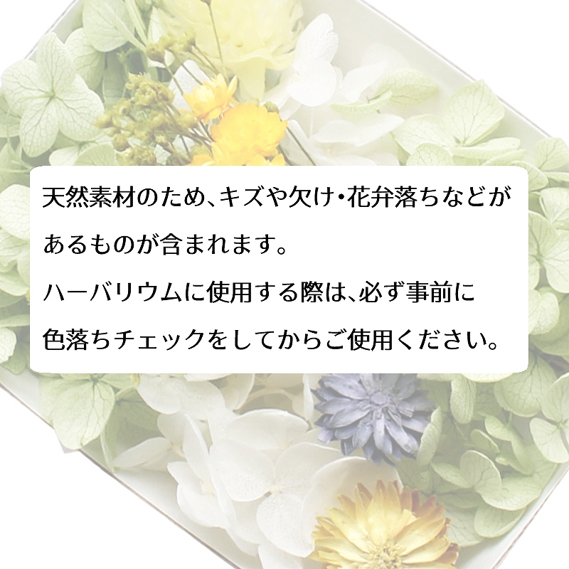 花材セット61点　ハーバリウム　ソフトアジサイ ハーバリウム 花材セット アジサイ パール カスミ草 深海 青 夏