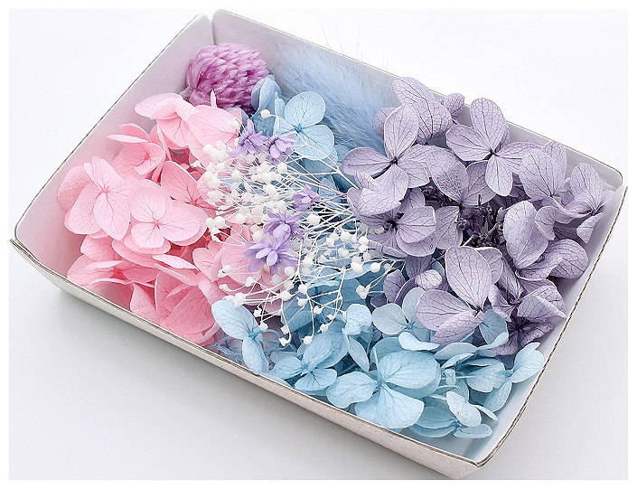 ハーバリウム花材 水彩パレット花材セット 1ケース プリザーブド