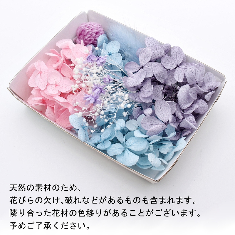ハーバリウム花材 水彩パレット花材セット 1ケース プリザーブドフラワー ドライフラワー :ath-2859:あとりえほのか 通販  