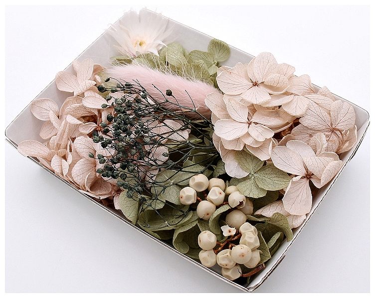 ハーバリウム花材 ナチュラルガーデン花材セット 1ケース プリザーブド 