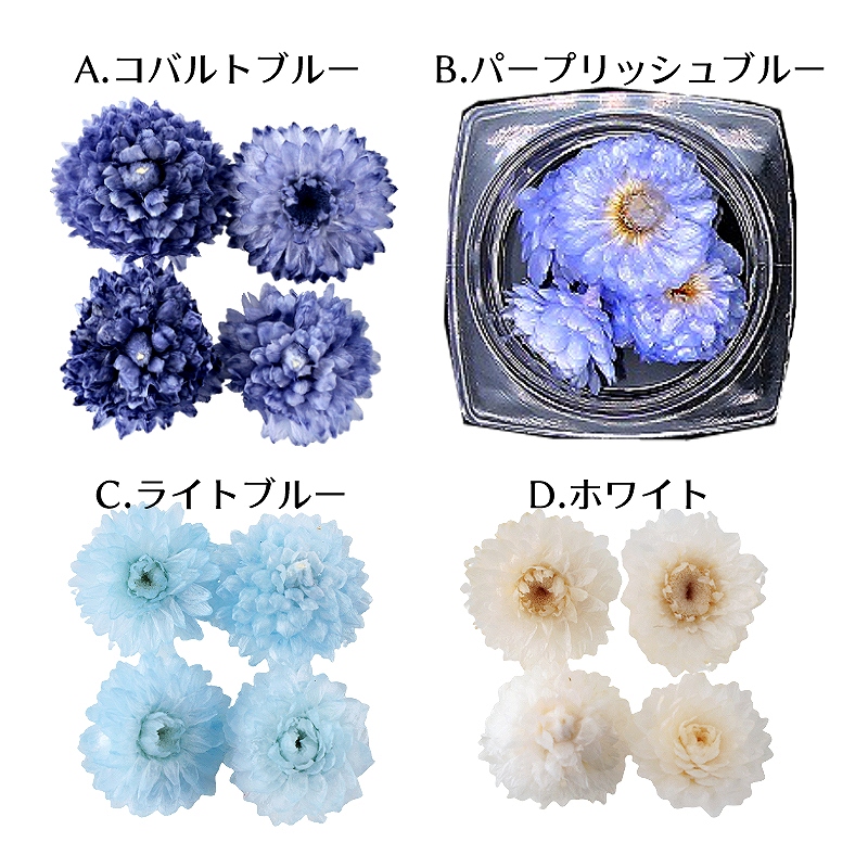 ハーバリウム花材 イモーテル 4輪[全12種] レジン封入 アロマワックス