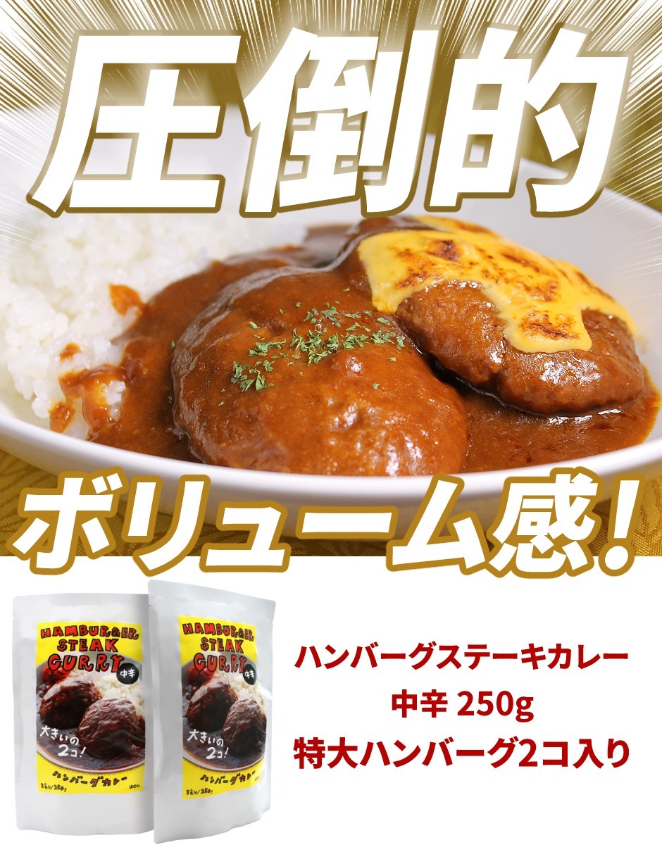 ハンバーグステーキカレー 2個セット 中辛 レトルトカレー 36
