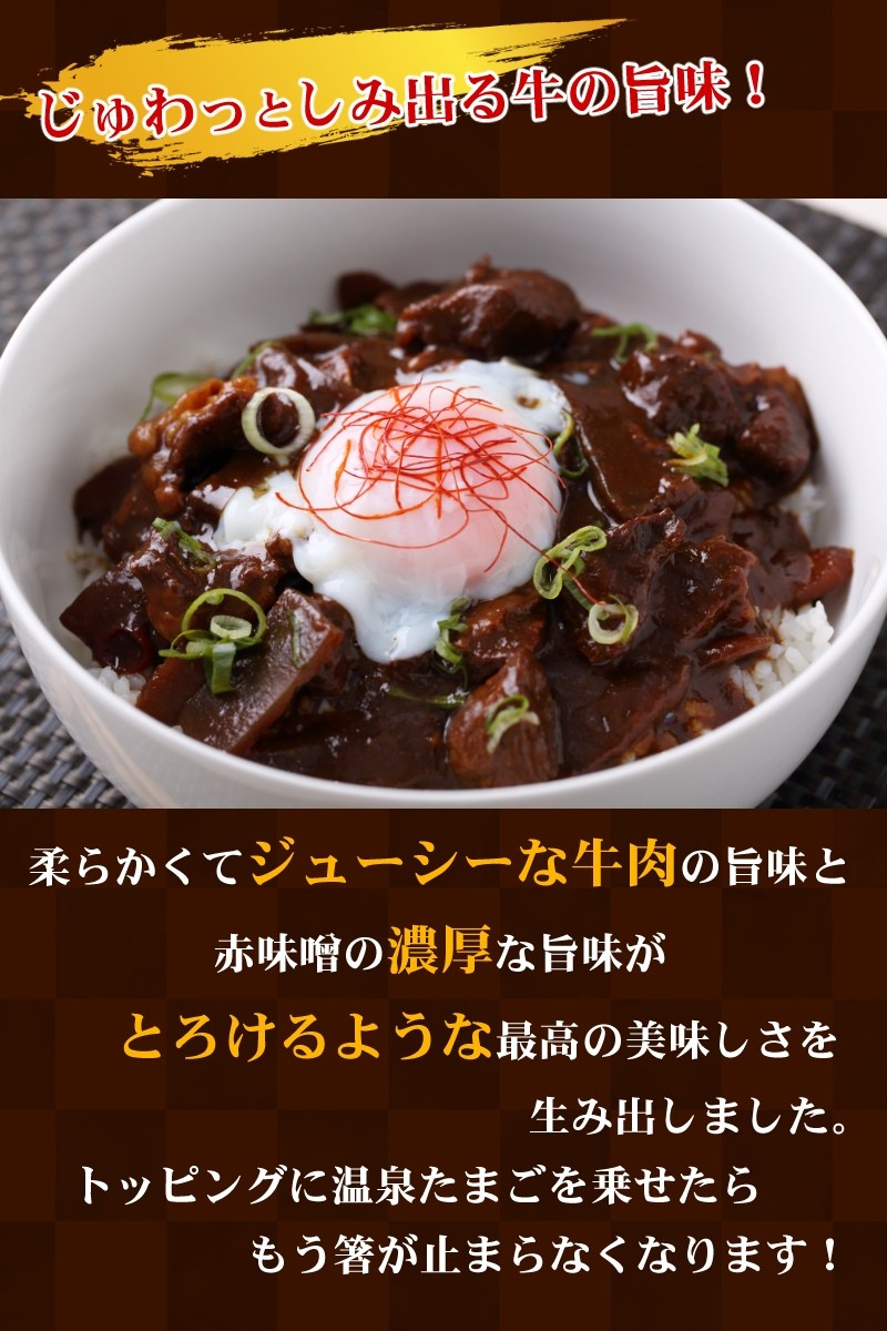 どて味噌煮とろとろ牛めし 牛肉どて味噌煮丼 大容量 業務用 1kg どて煮 名古屋めし 牛丼 レトルト食品 ご当地グルメ 送料無料 クリスマス  :KDY-4516219003740:あとりえほのか - 通販