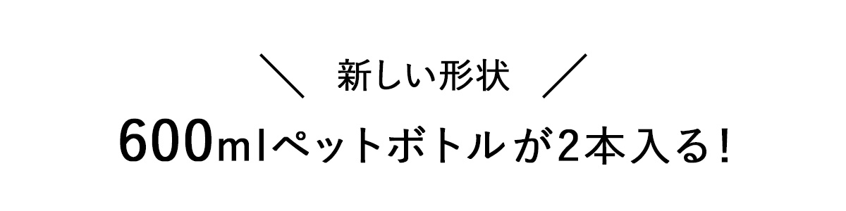 2wayワイヤーランチバッグタイトル