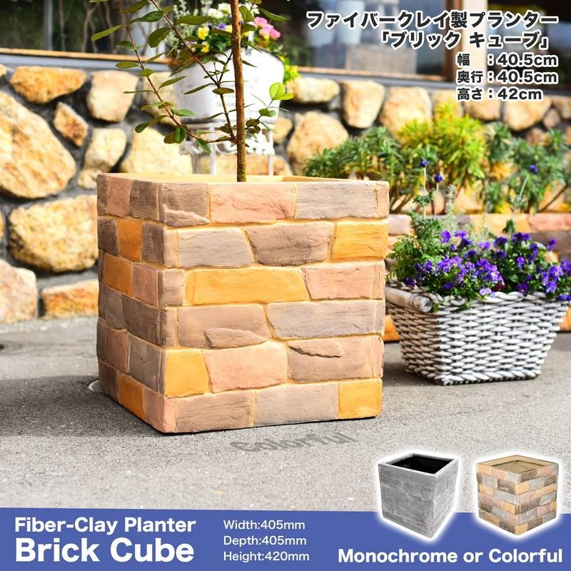 bkplcube-1903_01.jpg
