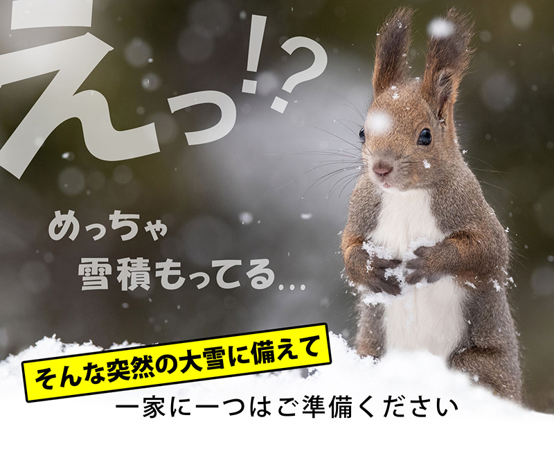 雪かき 雪おし ハンドラッセル ジョイント式スノープッシャー ブラック