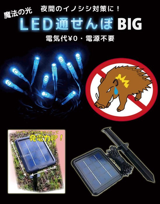 在庫有】魔法の光 LED通せんぼビッグ :a3091hmsg-2:アテーネYahoo!店 - 通販 - Yahoo!ショッピング