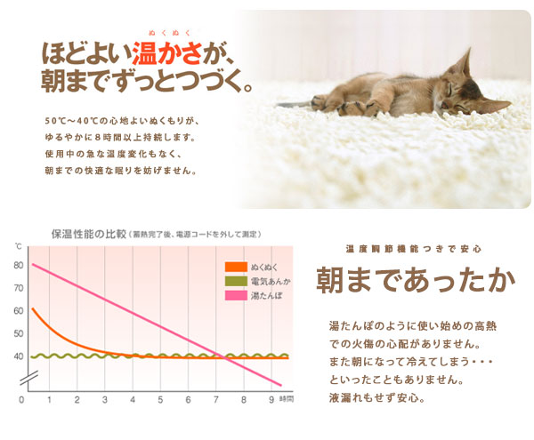 蓄熱電気あんか 省エネタイプ 充電式足温器で足元あったか 安全機能付き