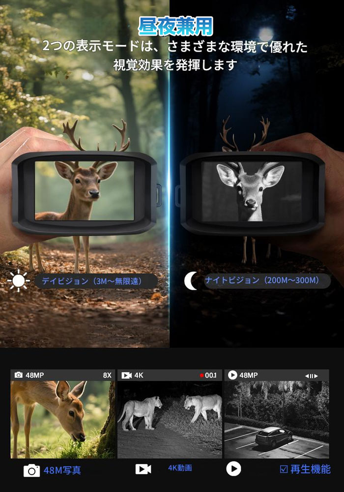 バードウォッチング