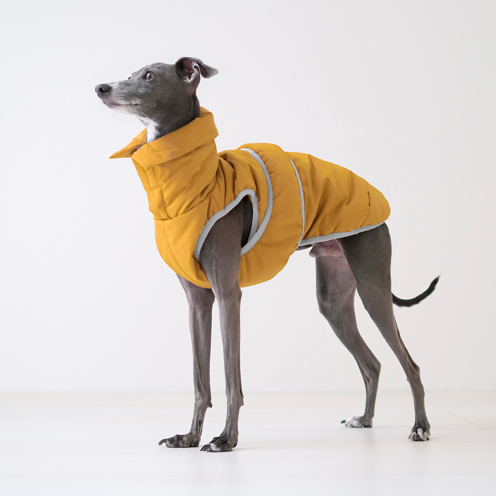 イタグレ 服 プルオーバーパフィ ベスト イタリアングレーハウンド服