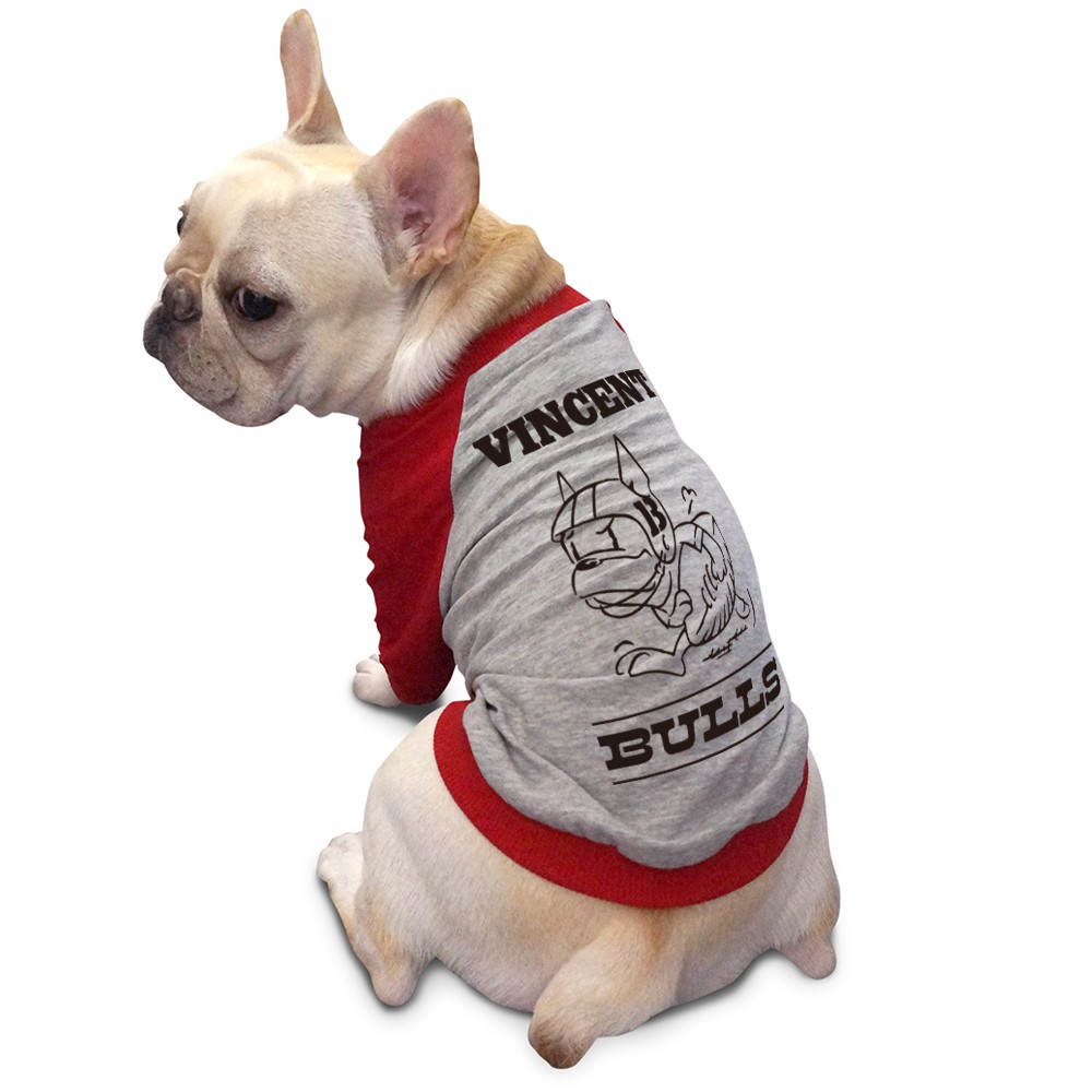 名入れ アメフト ラグラン Tシャツ メール便 送料無料 フレンチ