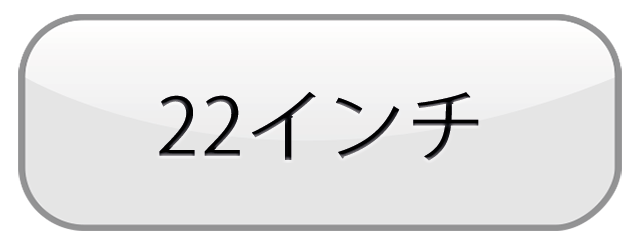 NEC LCD-AS221WM 22型ワイド液晶ディスプレイ 2系統ケーブル NEC LCD-AS221WM 22型ワイド液晶ディスプレイ 2系統ケーブル
