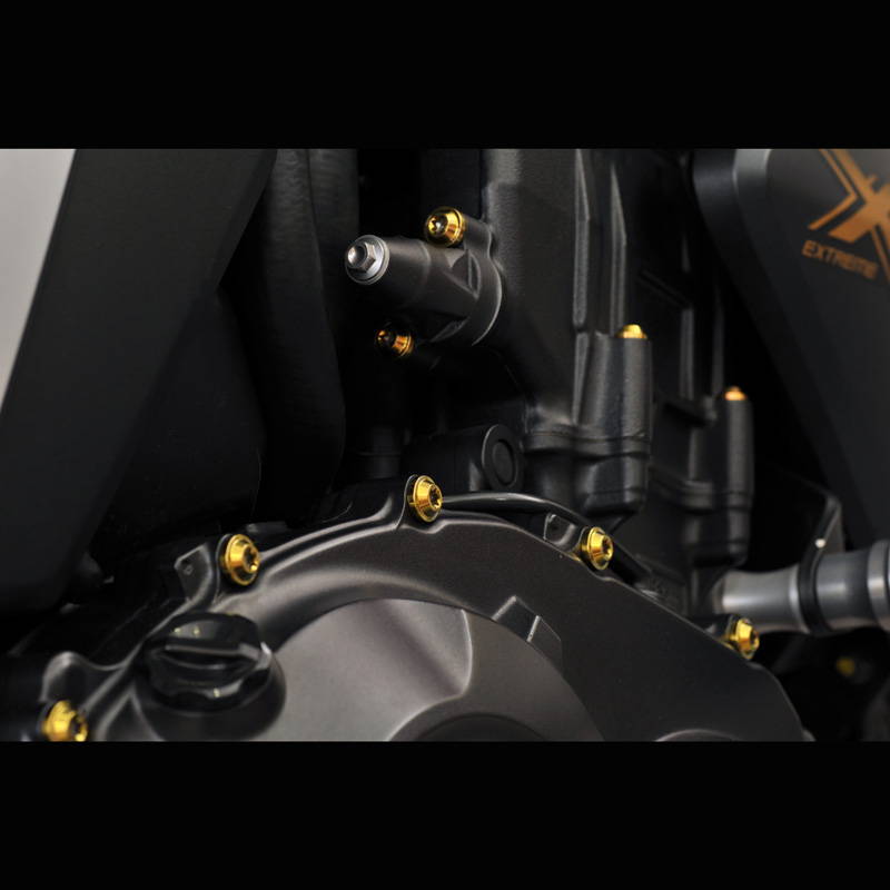 PROTI 64チタン KAWASAKI Z900RS エンジンカバー用セット 27PCSの画像