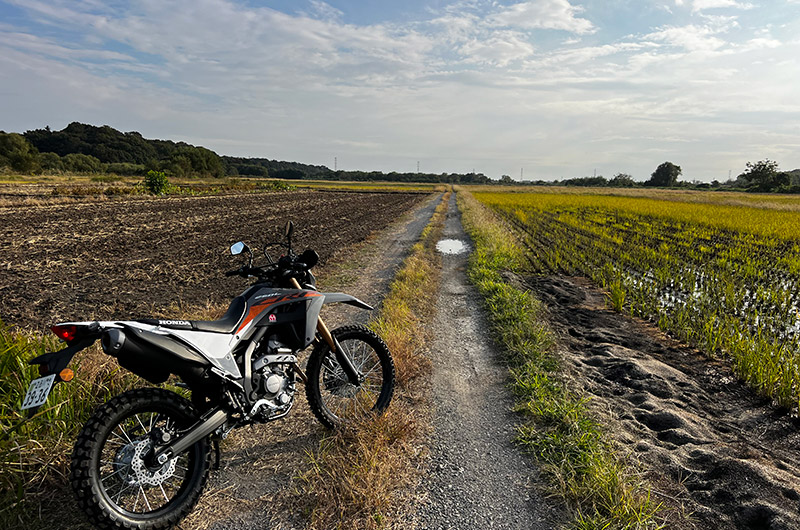 SP TADAO SP忠男マフラー 2023~CRF250L (8BK-MD47) POWERBOX