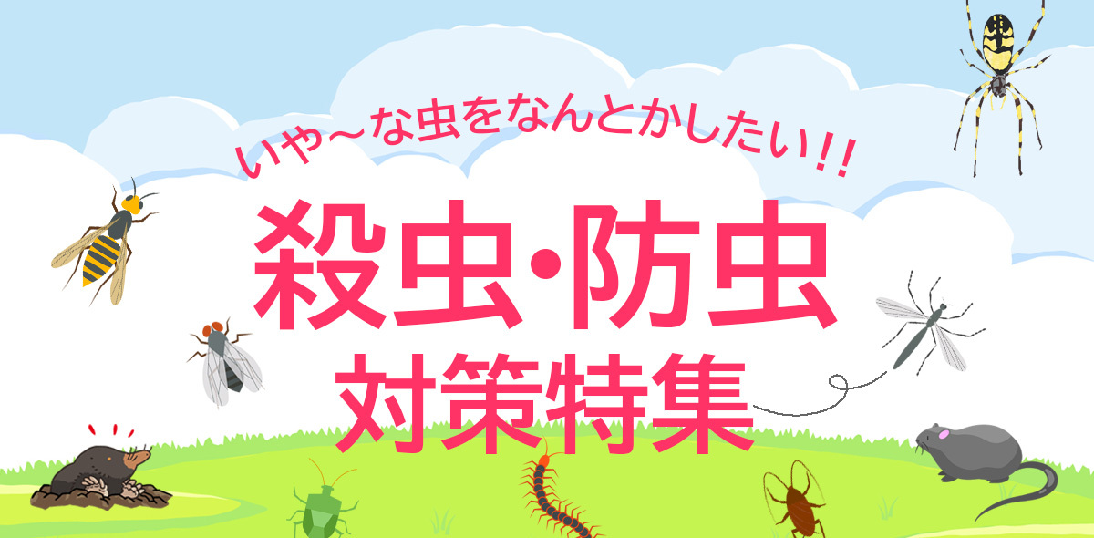 特集バナー共通