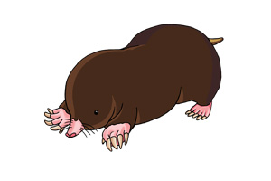 モグラ