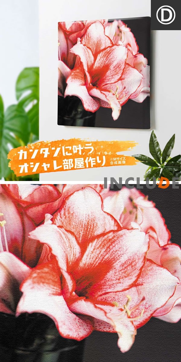 アートパネル 赤い花 レッド系 薔薇 ローズ 薔薇 リンゴ 林檎 ガーベラ スイートピー ポピー カーネーション ヒナゲシ ダリア デージー サルビア 竹内陽子 Yt 300redcinc Atmosphere 通販 Yahoo ショッピング