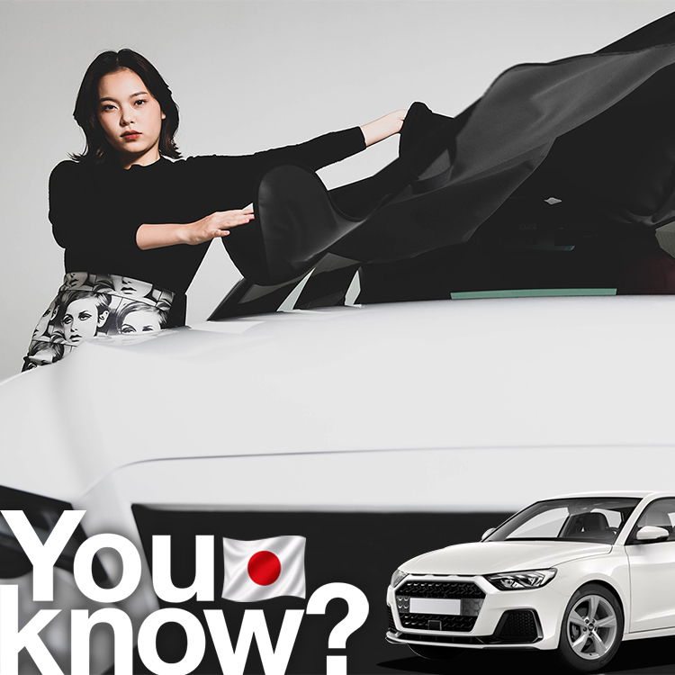 日本製】 アウディ AUDI A1 S1 高級 フロント ガラス カバー 凍結防止